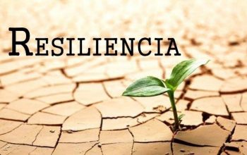 resiliencia